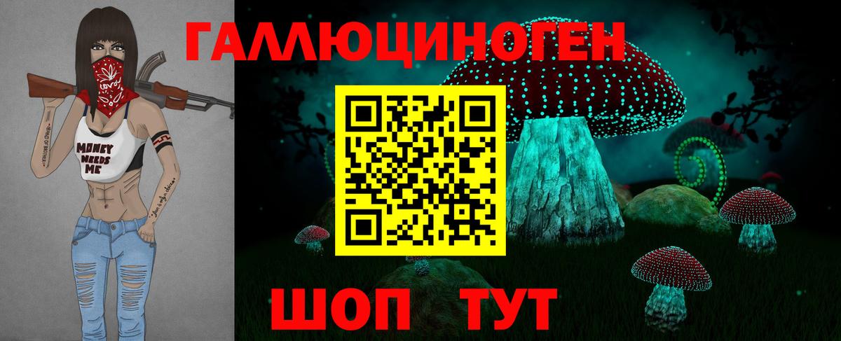 Галлюциногенные грибы Psilocybe Кумертау